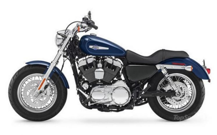 HARLEY DAVIDSON XL 1200 V 65 hp